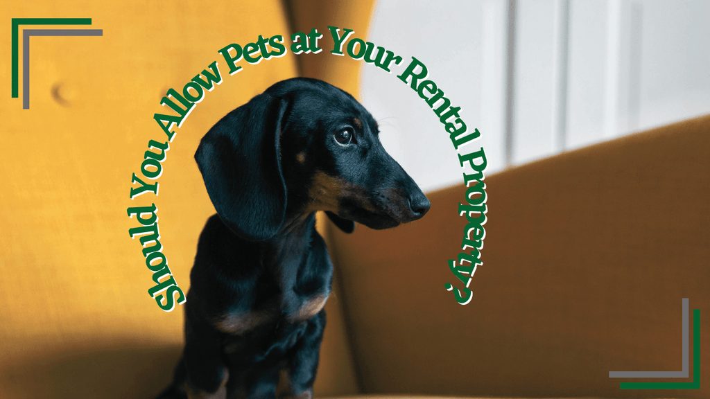 Should You Allow Pets at Your San Diego Rental Property? Mercer