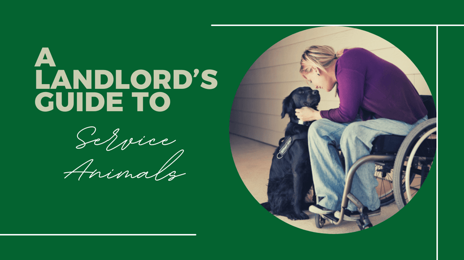 A San Diego Landlord’s Guide to Service Animals