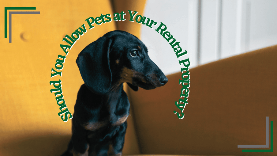 Should You Allow Pets at Your San Diego Rental Property?